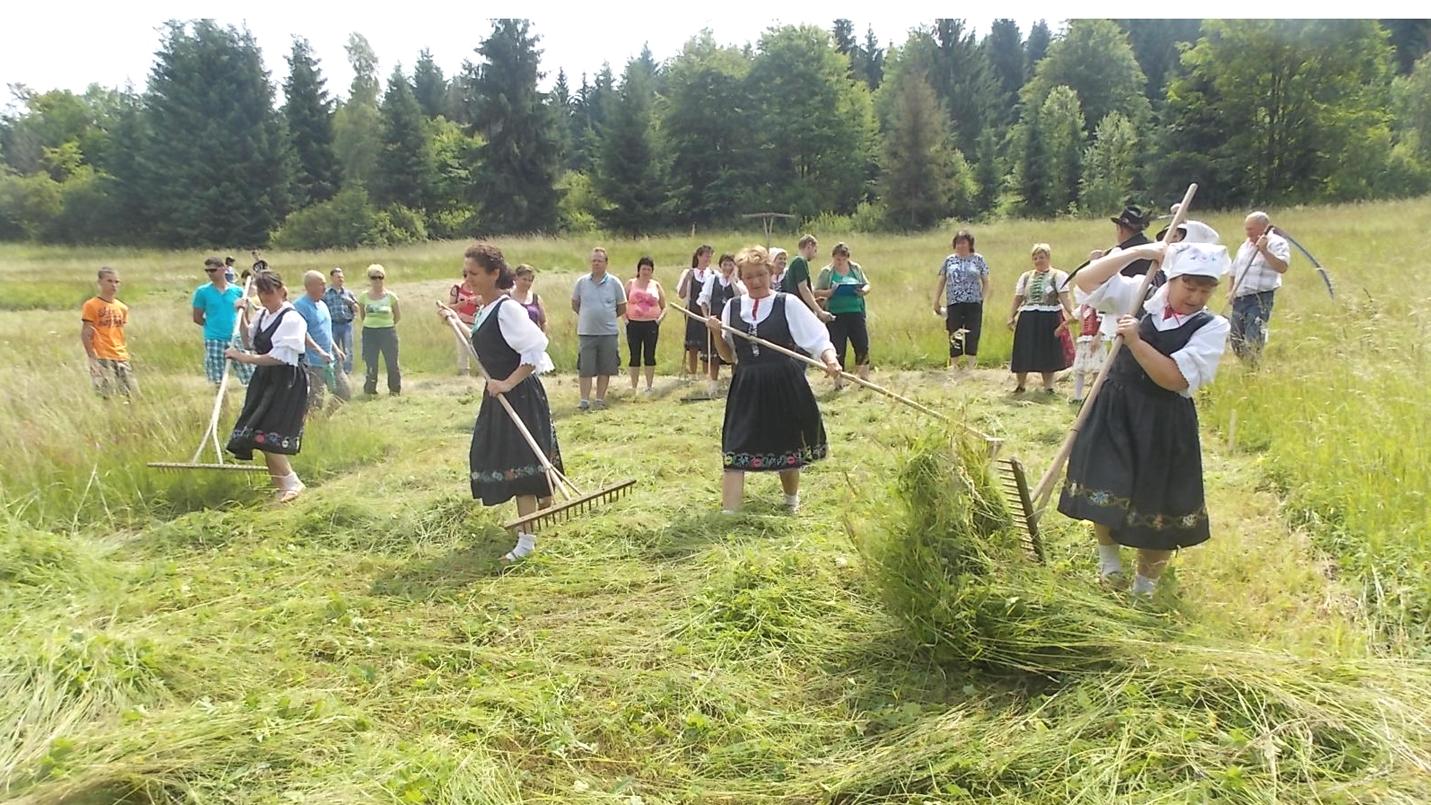 Mám ja kosu, kosičku...