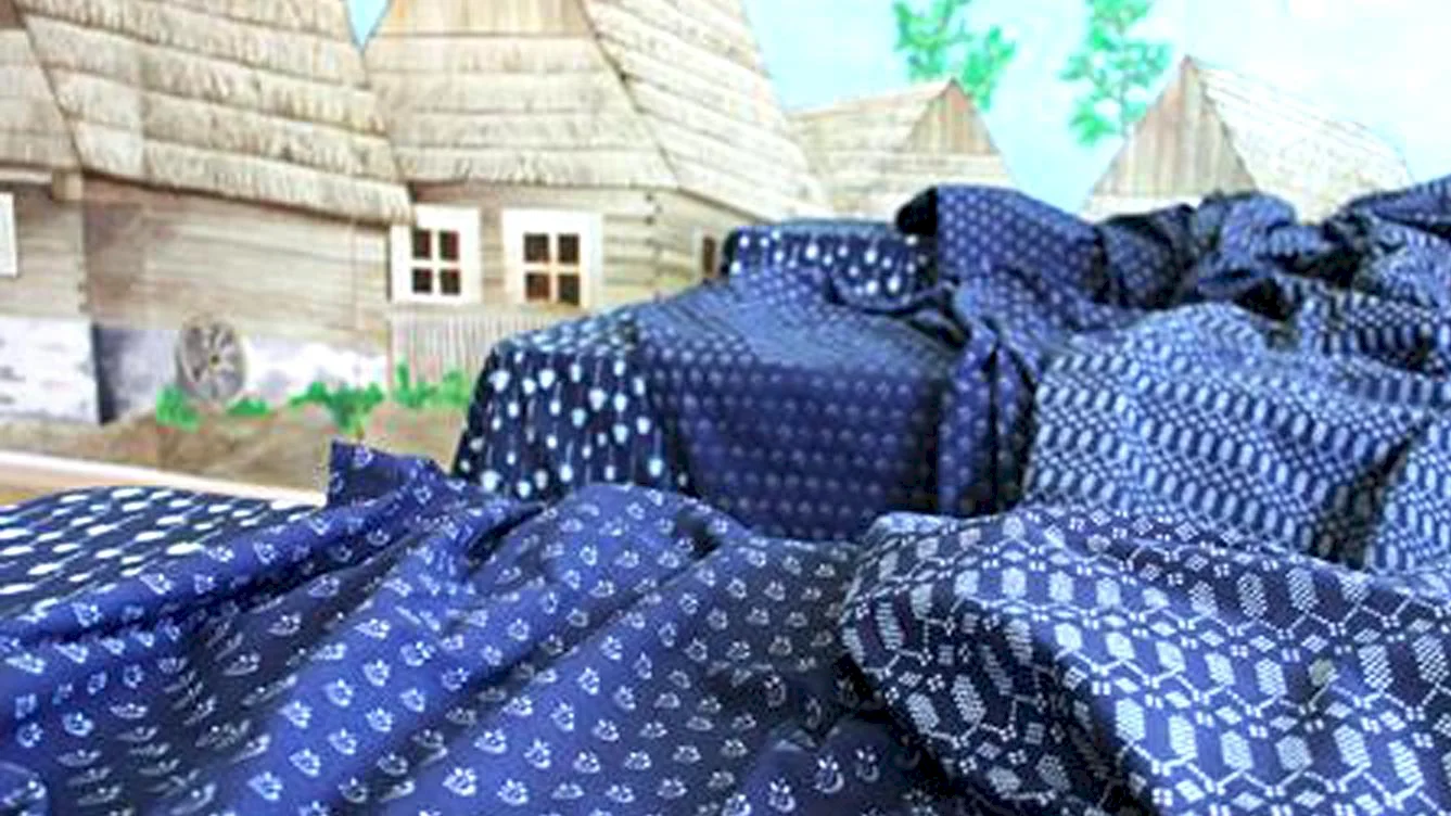 Modrotlač sa bude uchádzať o zápis do zoznamu UNESCO