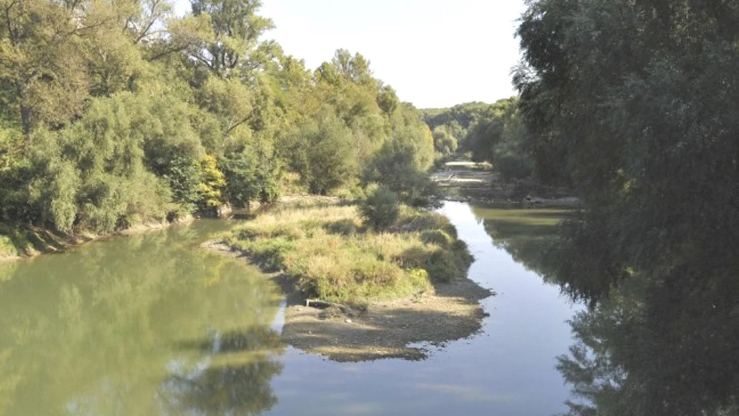 Na ostrove Sihoť pokračuje výsadba 600 nových stromov topoľa čierneho