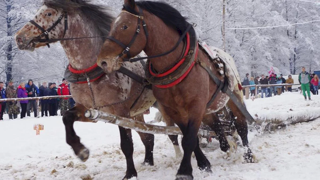 Furmani prilákali do Hriňovej asi 2500 ľudí