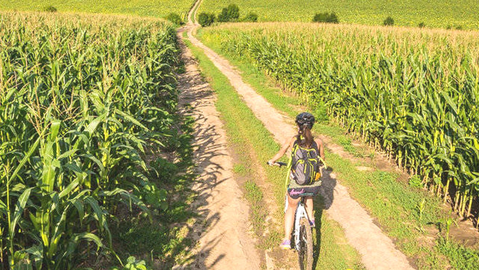 Nový cyklistický portál ponúka 1120 kilometrov cyklotrás