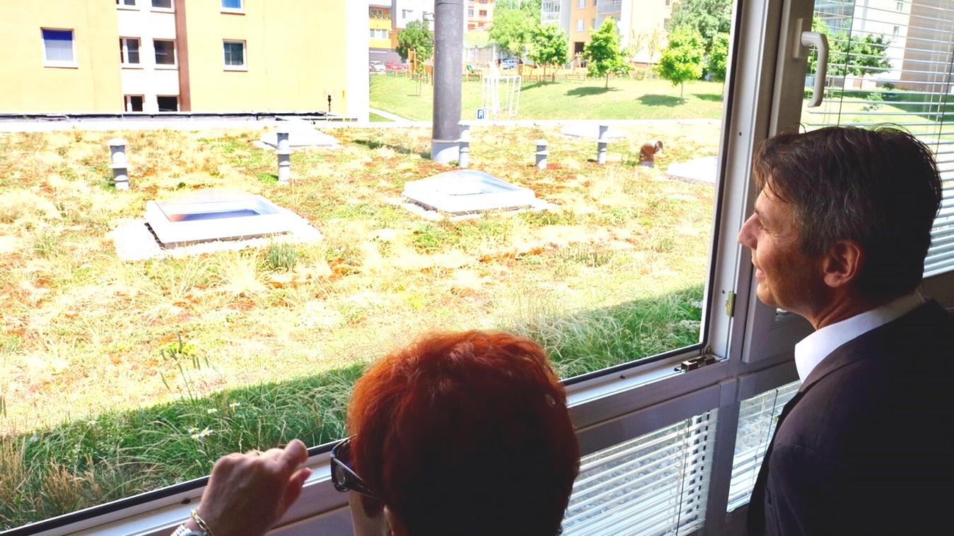 Mesto vytvorilo prvú zelenú strechu