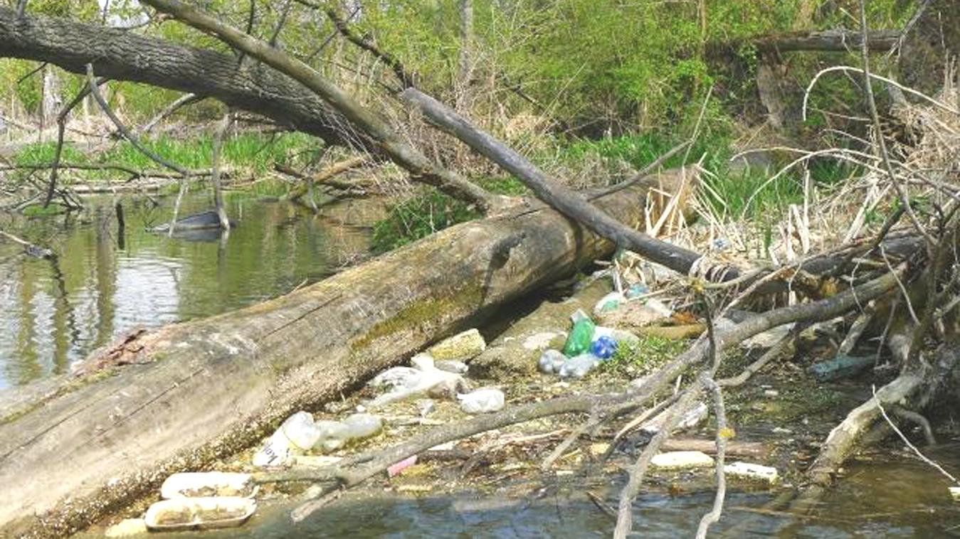Dobrovoľníci vyzbierali tonu odpadu z brehov Dunaja