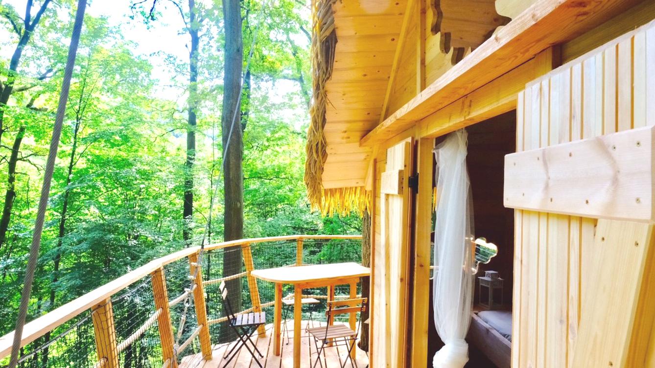 Hlavné mesto spolu s Mestskými lesmi otvorilo už druhý domček na strome