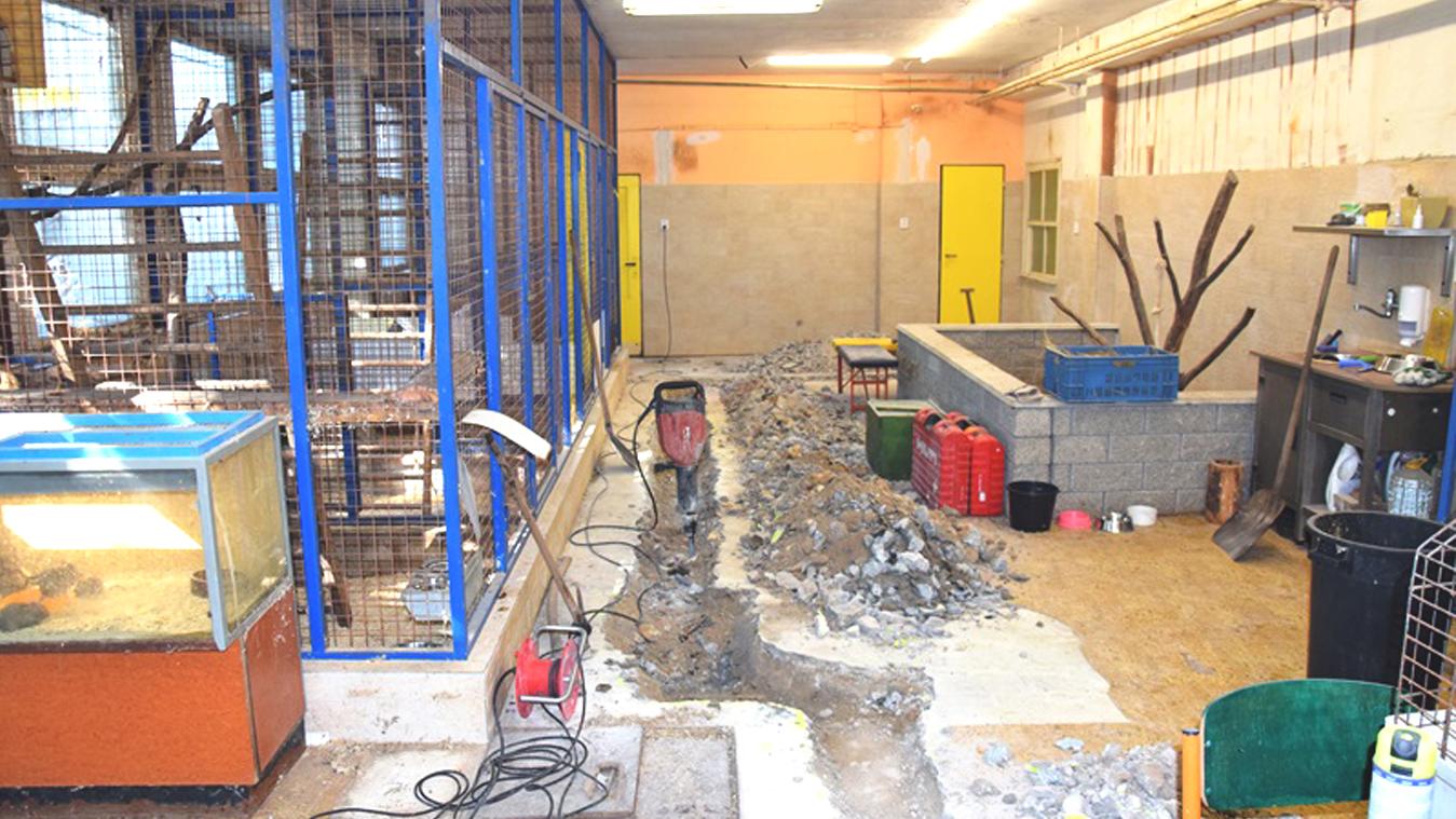 Rekonštrukcia v žilinskej MiniZOO prinesie zvieratám väčší komfort