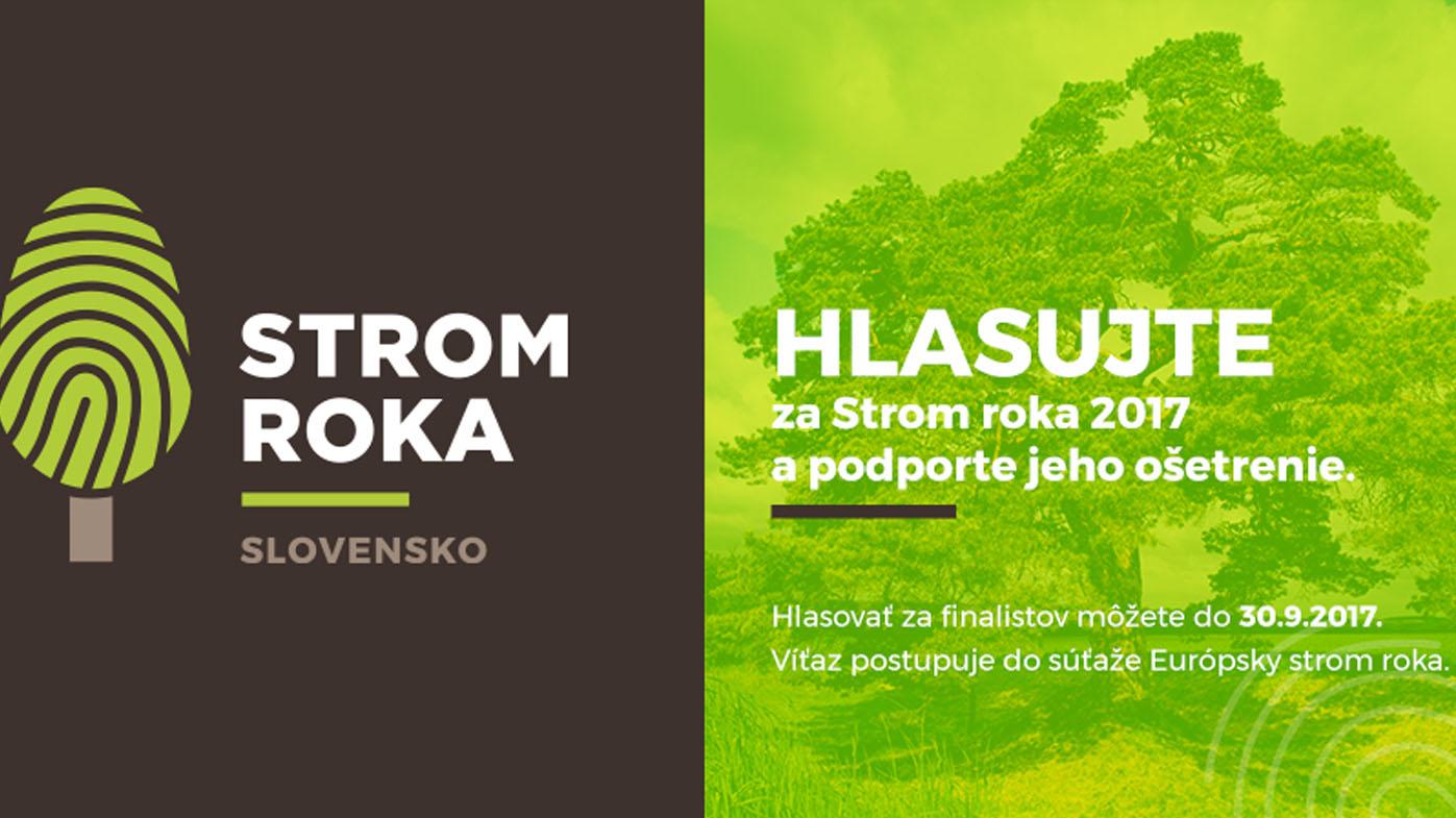 Hlasujte za Strom roka 2017