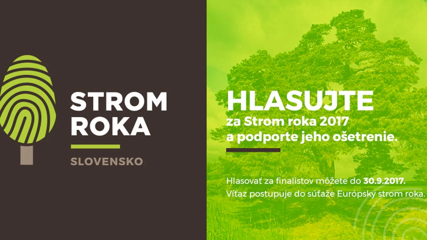 Hlasujte za Strom roka 2017