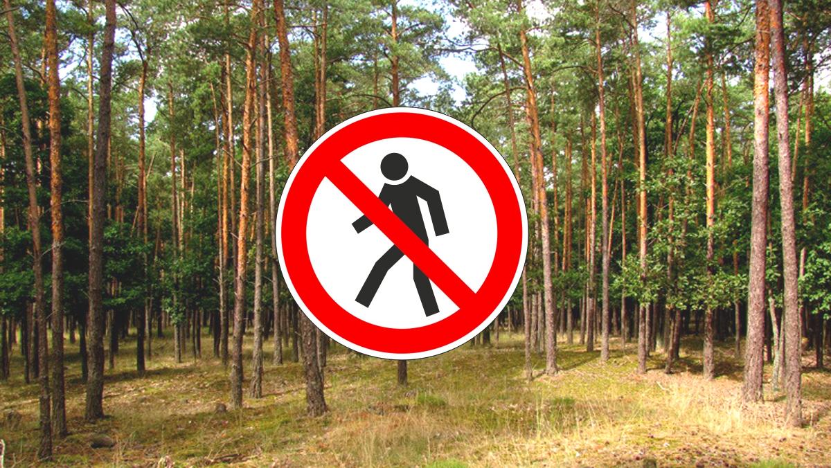 Dočasný zákaz vstupu do časti vojenských lesov na Záhorí sa ruší