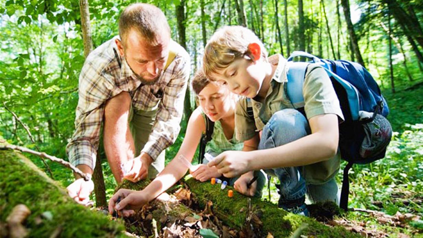Učitelia sa môžu bezplatne vzdelávať ako učiť envirovýchovu