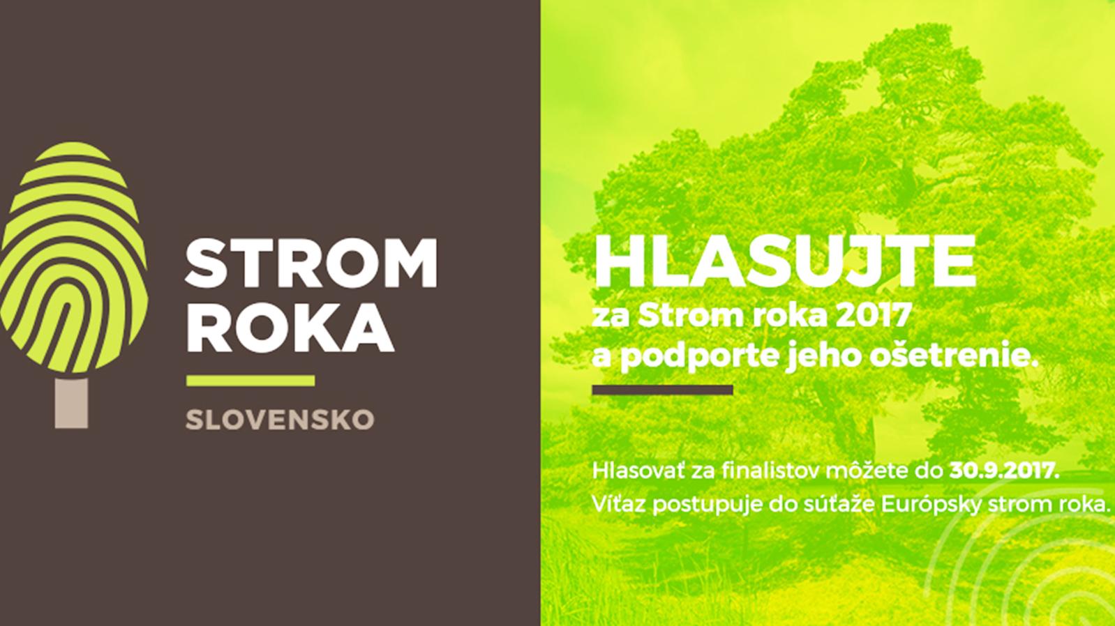 O víťazovi ankety môžete rozhodnúť už len pár dní