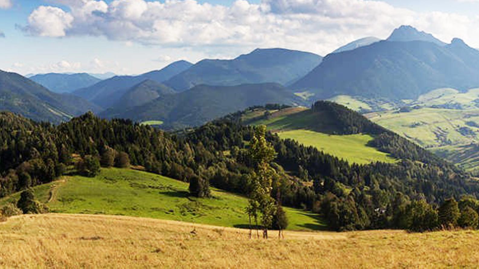 Envirorezort predložil návrh na spoločnú ochranu lesov