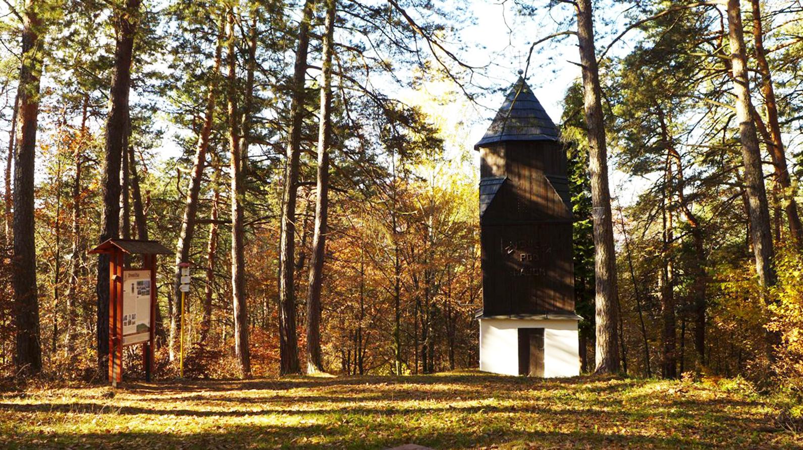 Novobanské Mestské lesy plánujú vybudovať arborétum