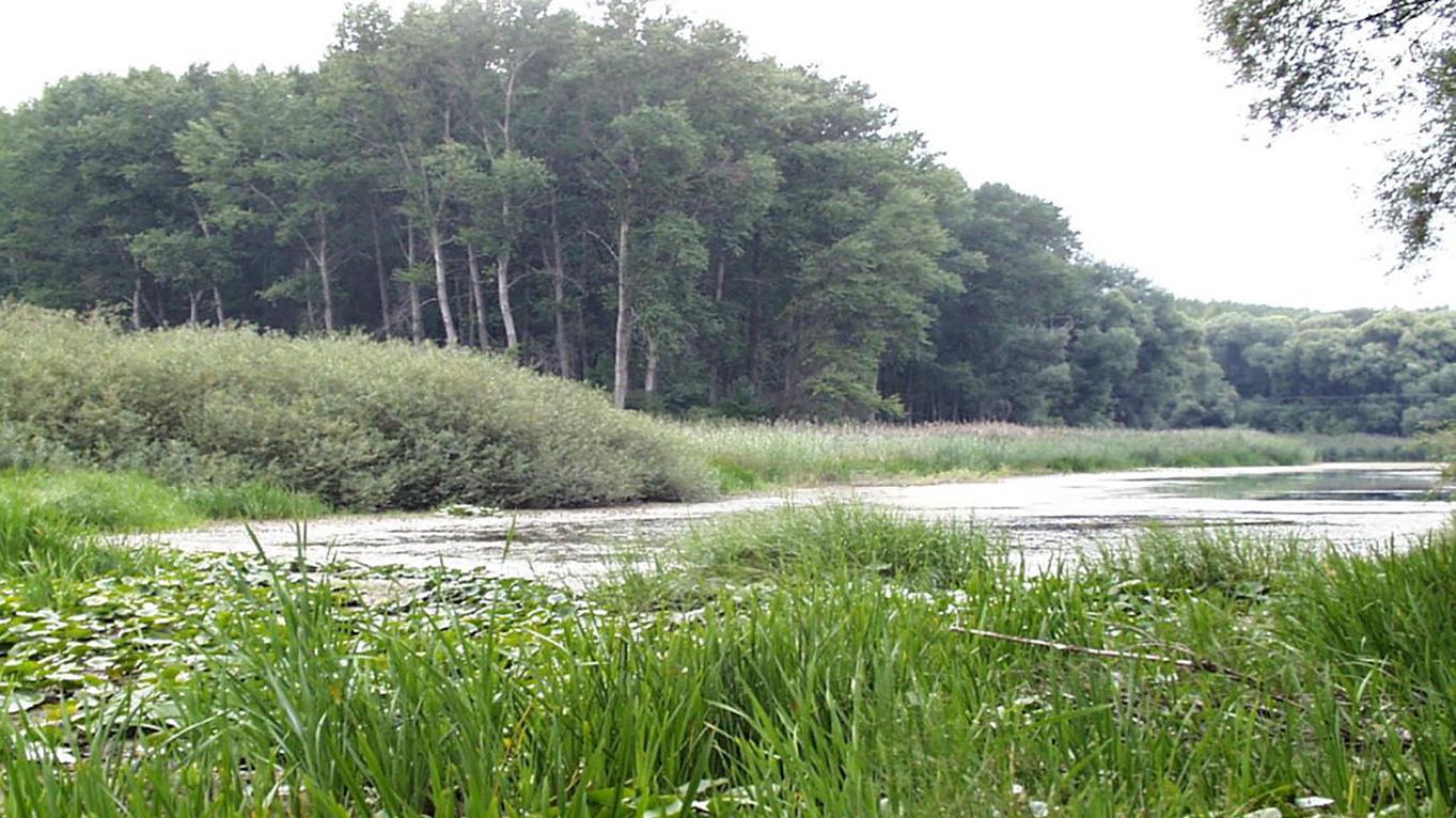 Slovensko a Maďarsko vytvoria spoločný prírodný park v Podunajsku