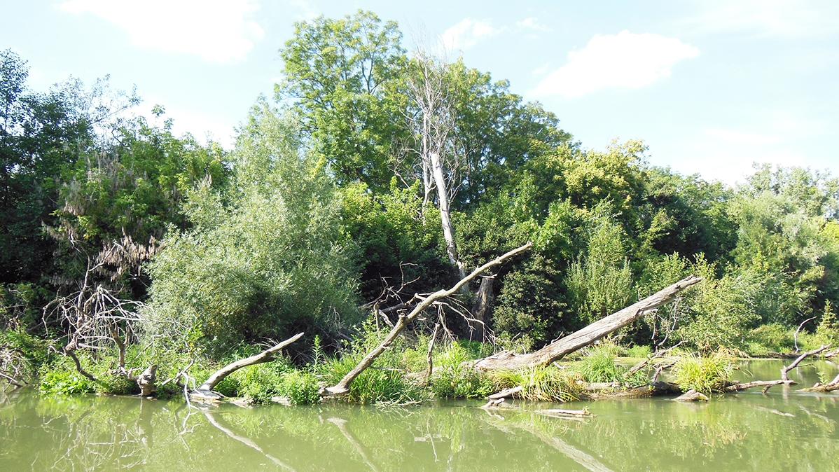 Ekocentrá súčasťou koncepcie envirovzdelávania