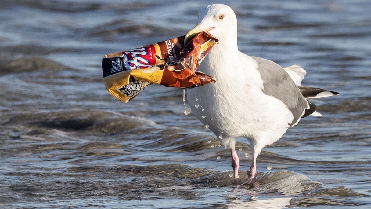 EK: Najlepšie je vyrábať iba recyklovateľné plasty, zabránime úniku mikroplastov