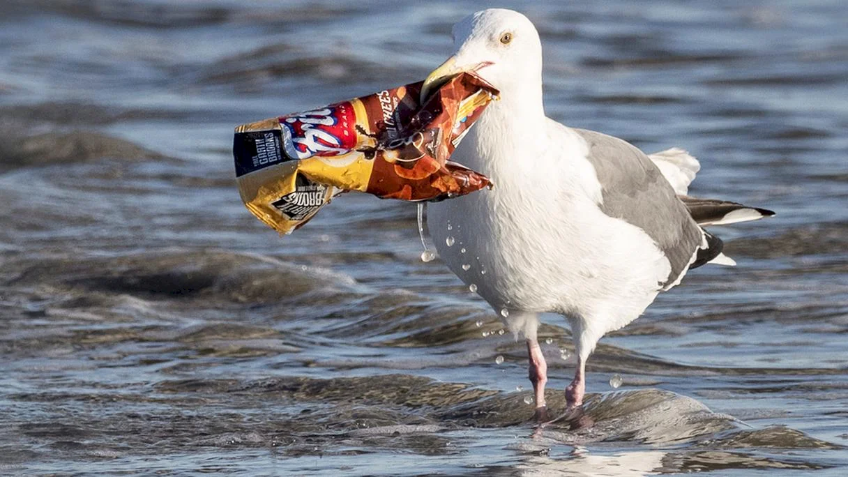 EK: Najlepšie je vyrábať iba recyklovateľné plasty, zabránime úniku mikroplastov