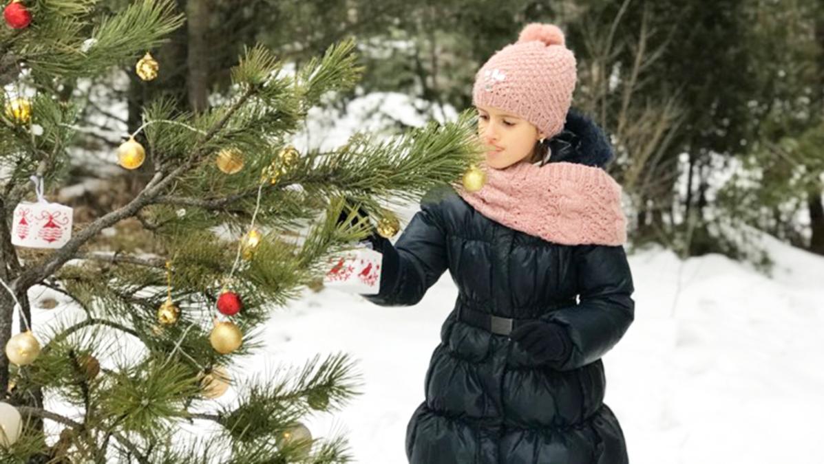 Nájdite vianočný stromček ukrytý nad banskobystrickou Fončordou!