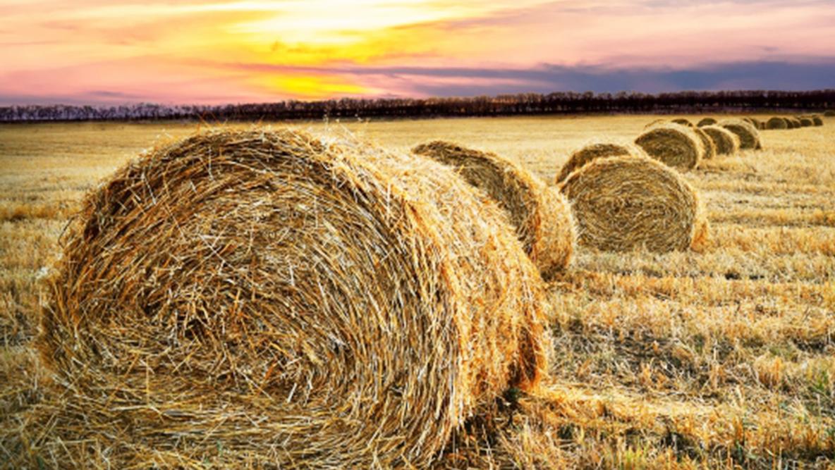 Malých farmárov podporí agrorezort piatimi miliónmi eur