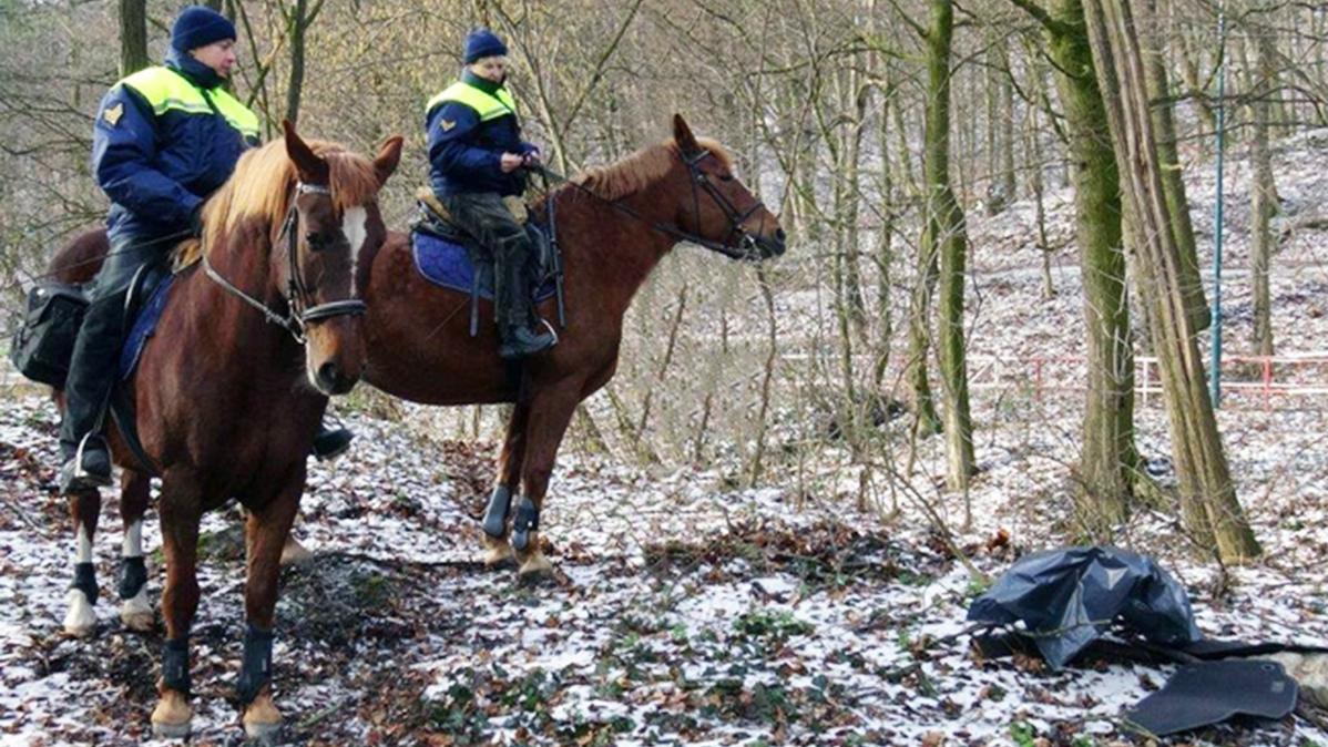 Jazdecké hliadky dohliadajú na poriadok v bratislavskom lesoparku