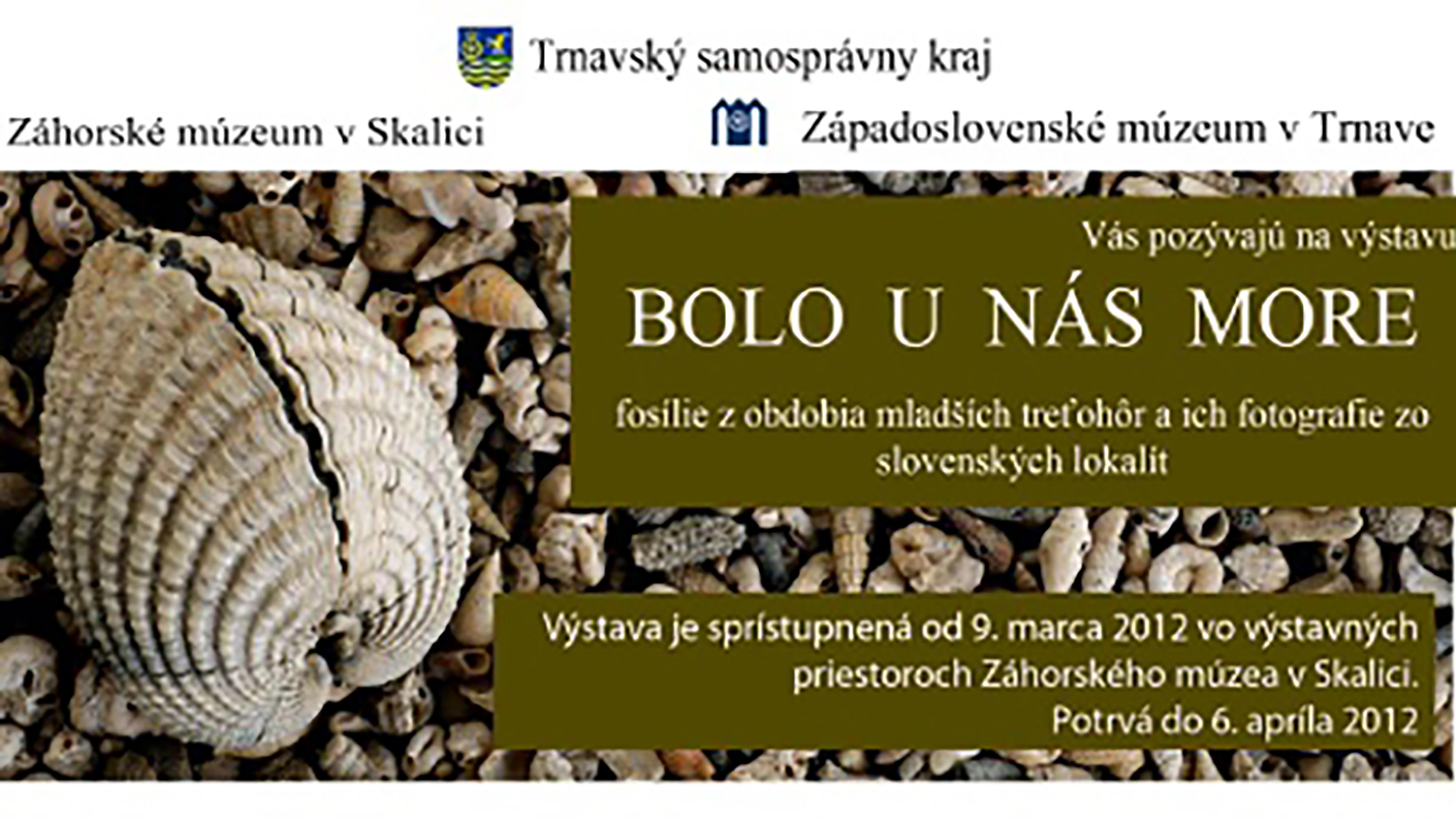 V Skalici sprístupnia výstavu Bolo u nás more
