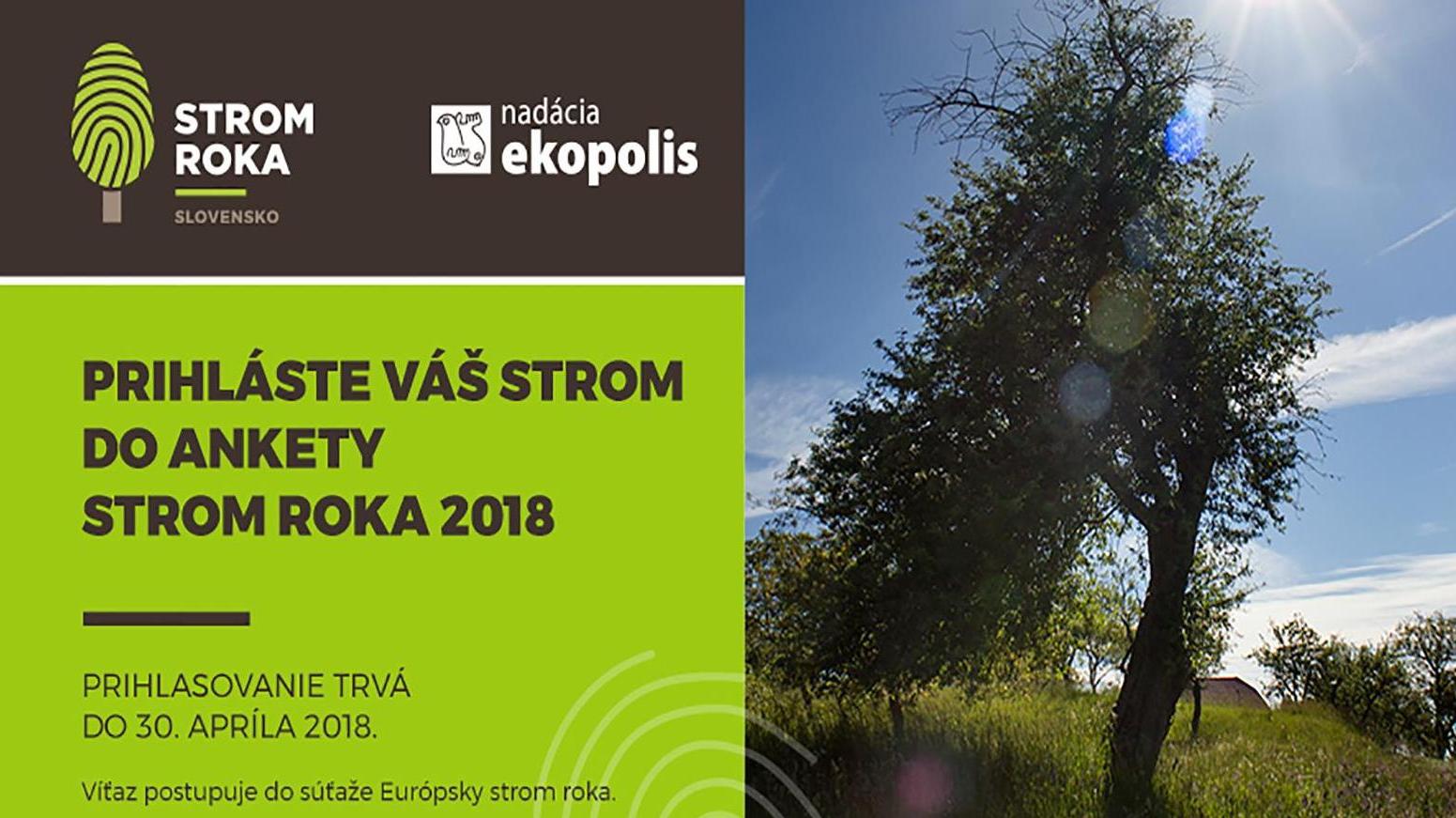 Nadácia Ekopolis vyhlásila 16. ročník ankety Strom roka