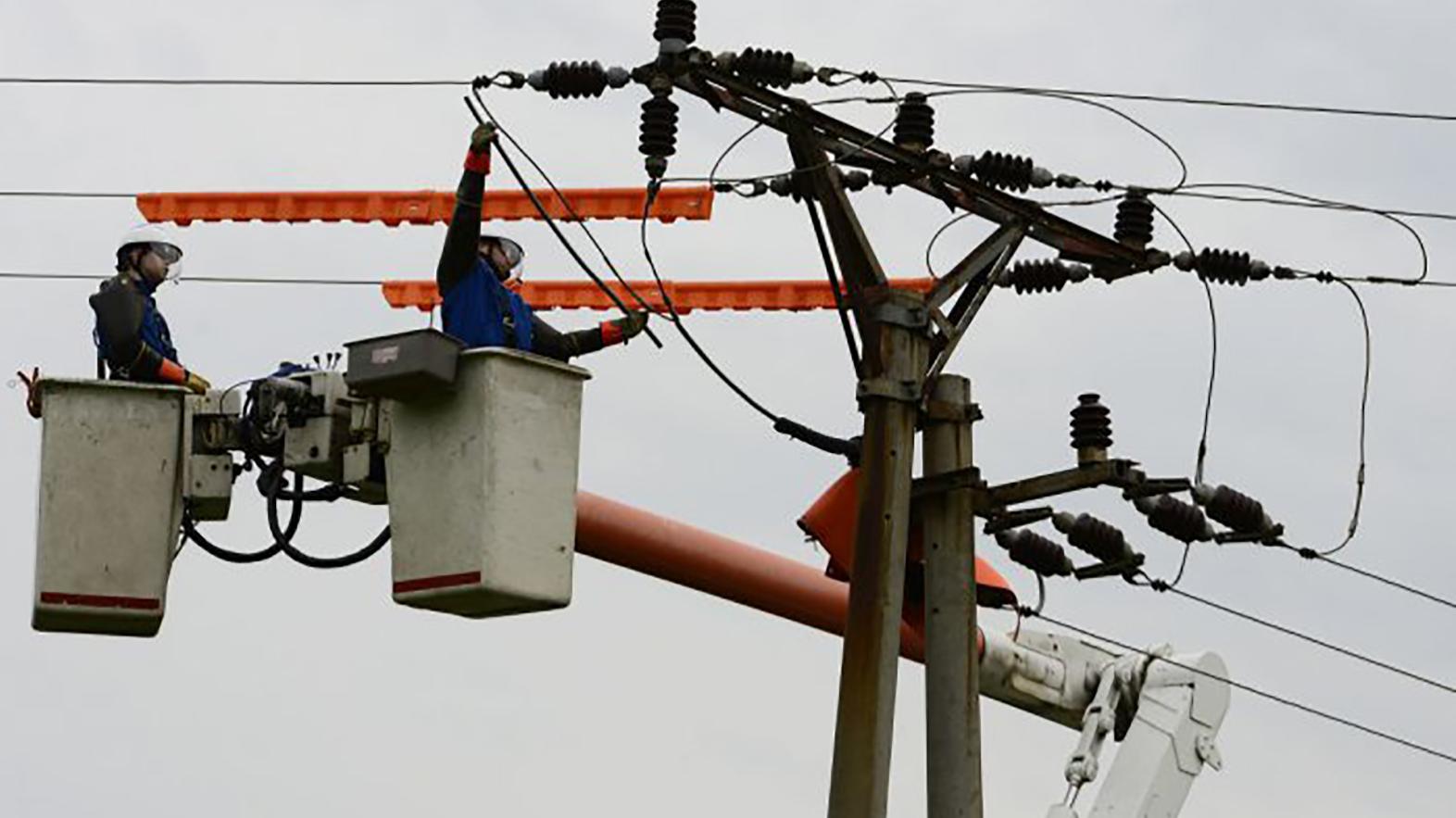 Nové ekozábrany na stĺpoch elektrického vedenia chránia dravce