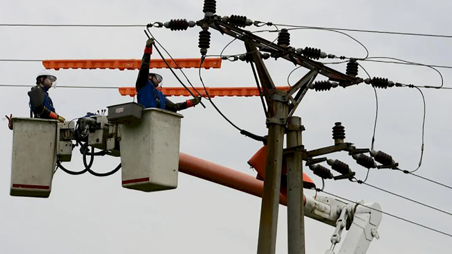 Nové ekozábrany na stĺpoch elektrického vedenia chránia dravce