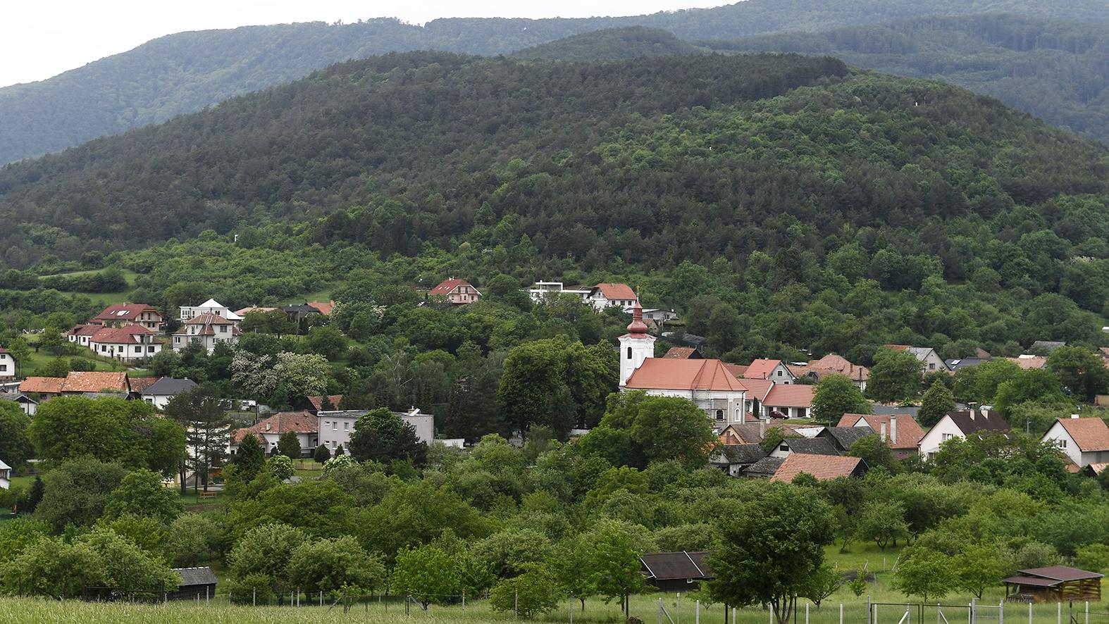Nitrianske Sučany boli známe obchodovaním s konope či šafranom