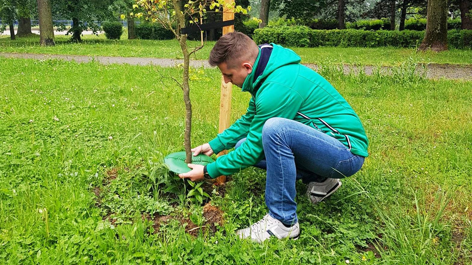 Ochraňujeme stromy pred kosačkou