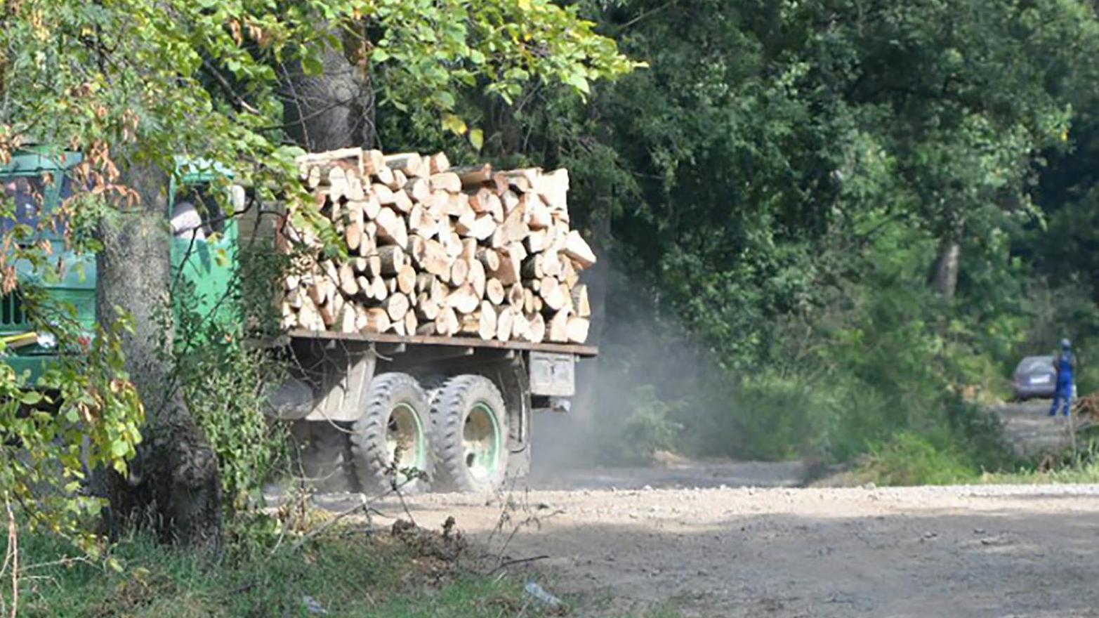 Lesy okolo mesta nesmú byť podľa primátora hospodárskou plantážou