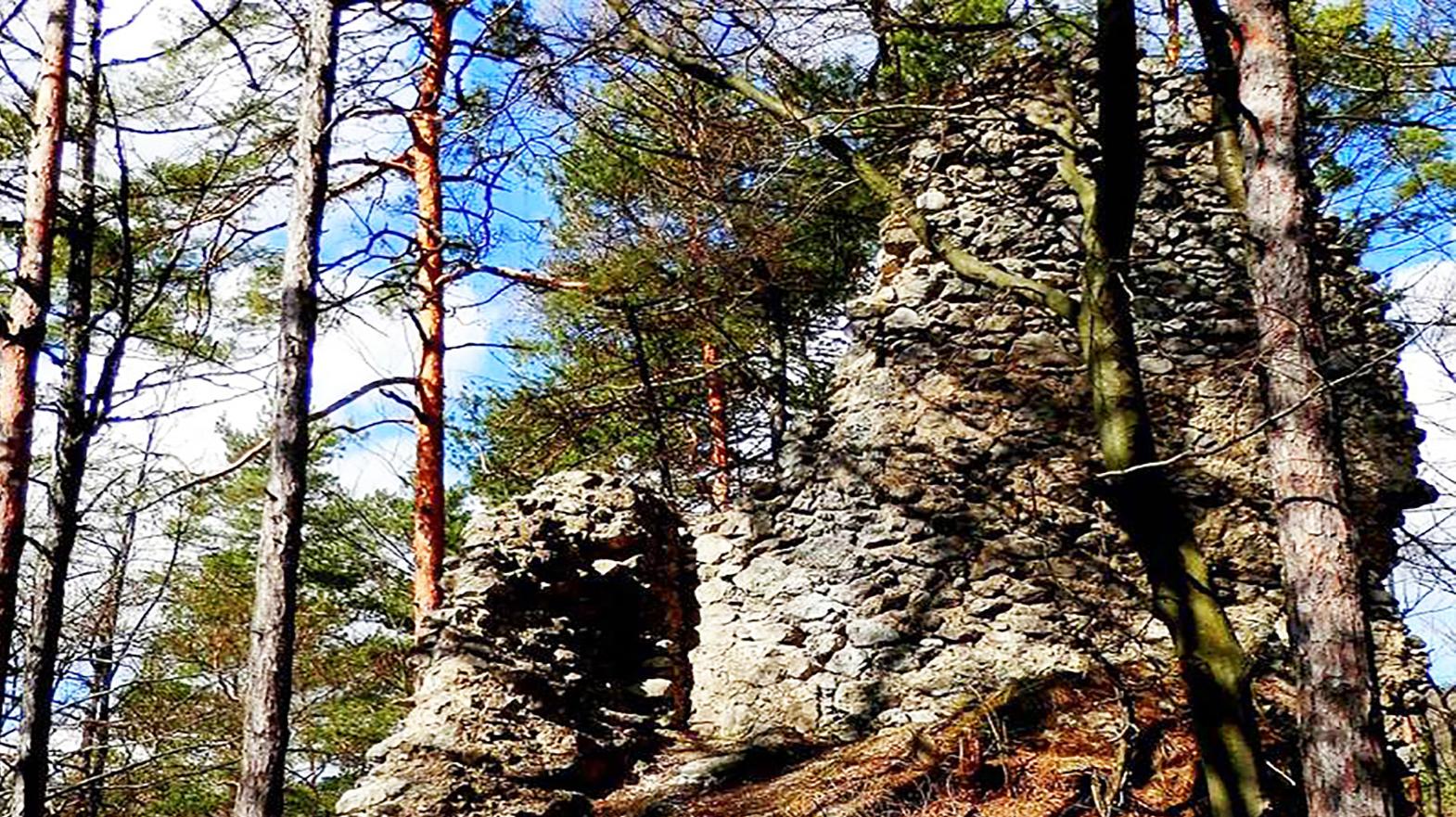 Lipovský hrad zachraňujú slovenskí i zahraniční dobrovoľníci 