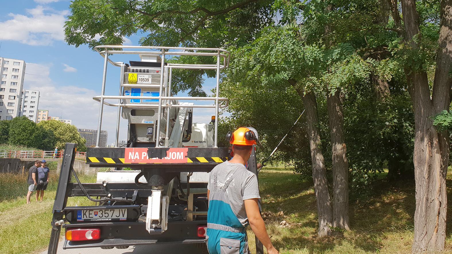 Hlavné mesto spustiloprojekt komplexnej starostlivosti o dreviny v Bratislave