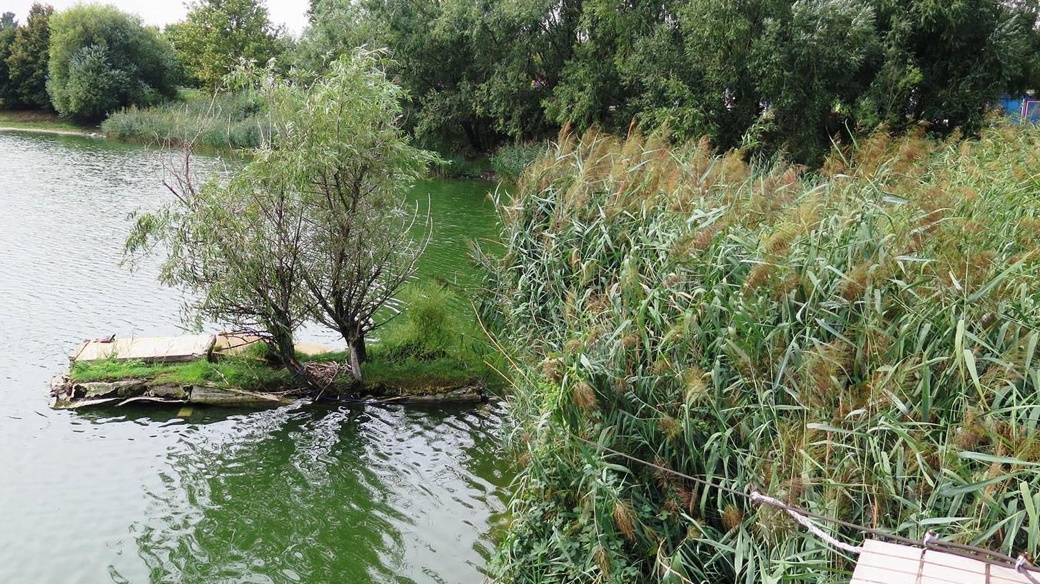 Vtáctvo na Štrkovci bude mať od októbra nový umelý ostrovček