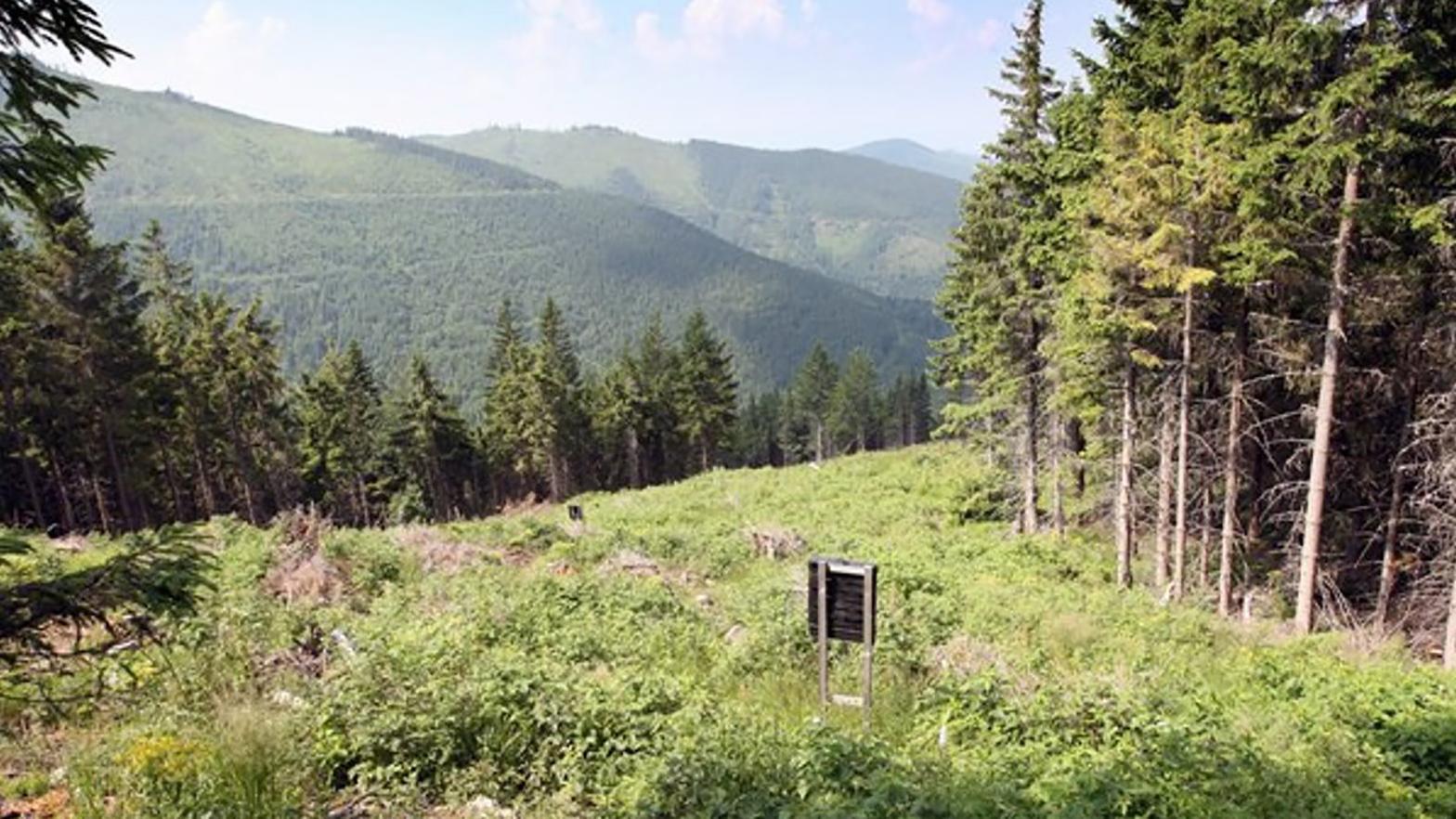 Vlastníci a obhospodarovatelia lesov žiadajú rešpektovať ich práva