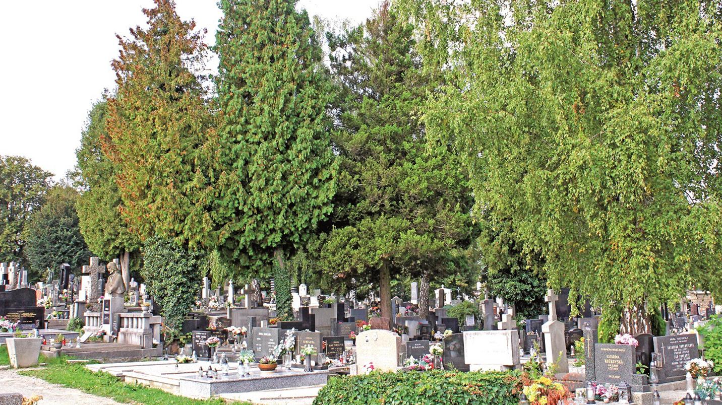 Žilinské cintoríny sú na Dušičky pripravené