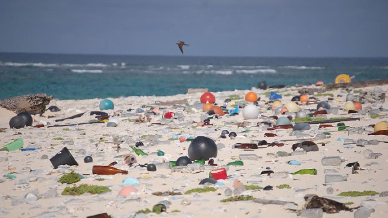 WWF: Drancovaním Zeme ohrozujú ľudia už i svoju vlastnú existenciu