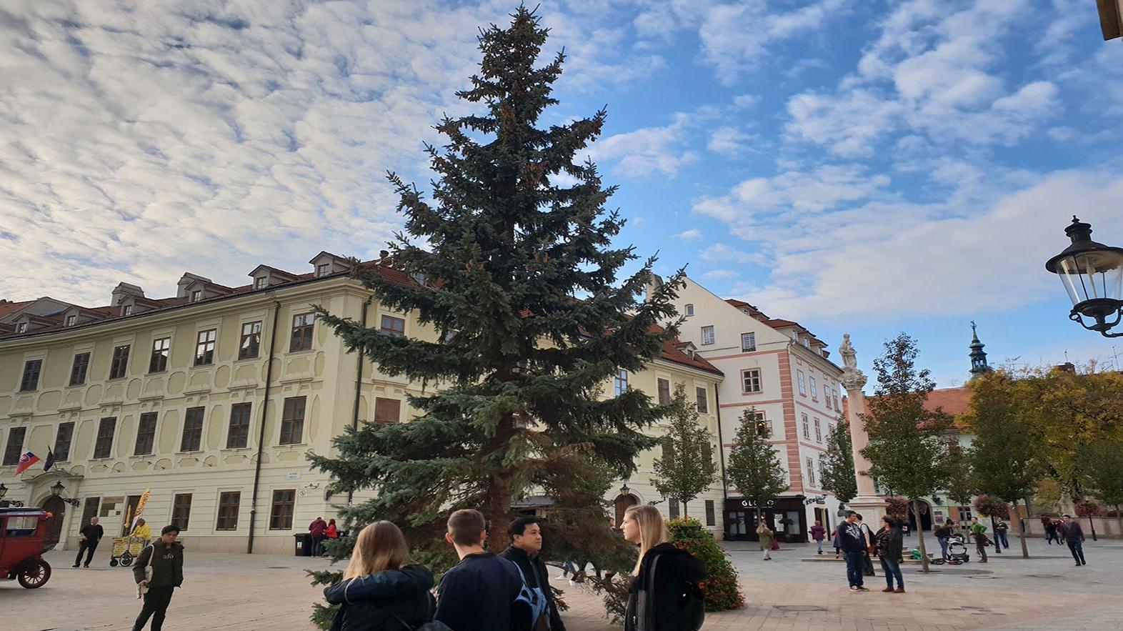 Mesto osadilo vianočný strom na Hlavnom námestí