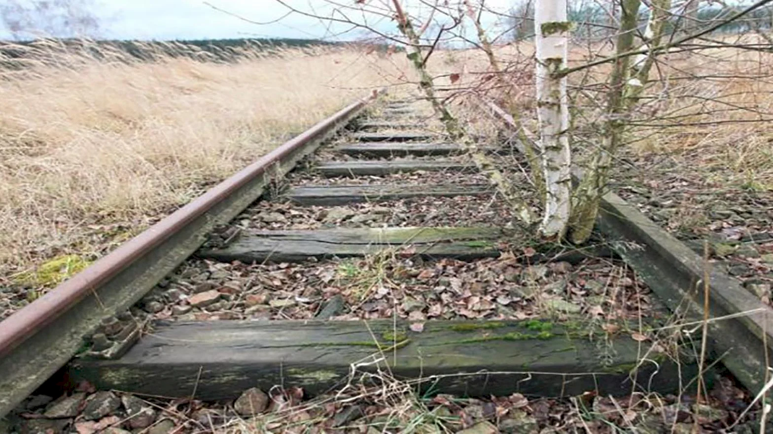 Nevyužívané železničné trate sa môžu prerábať na chodníky a cyklotrasy