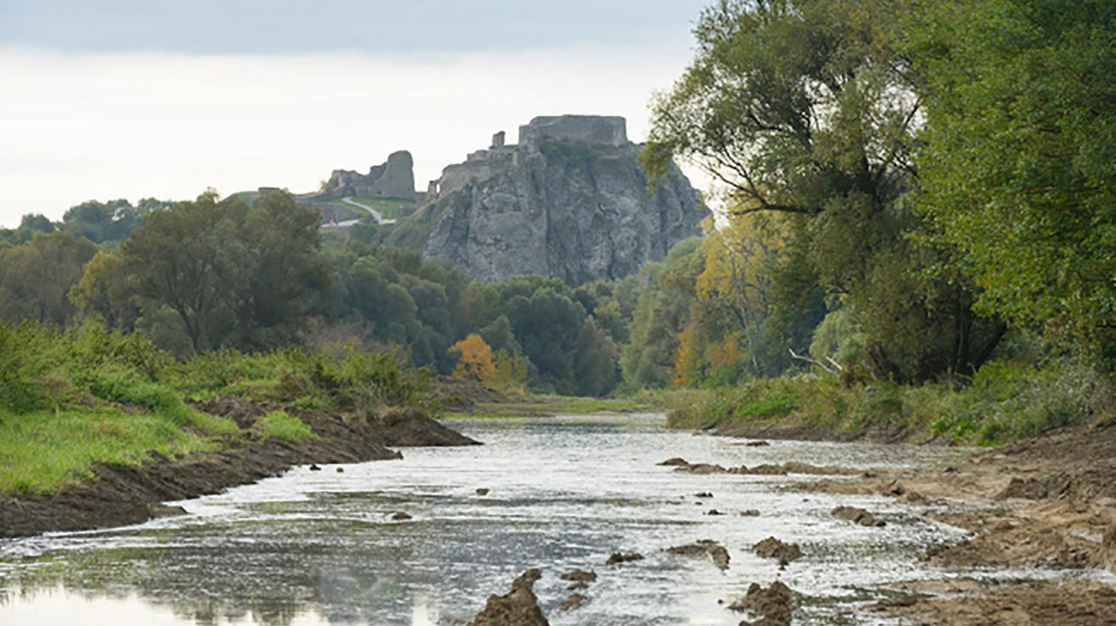 Rakúska revitalizácia rieky Morava by mohla byť inšpiráciou pre Slovensko