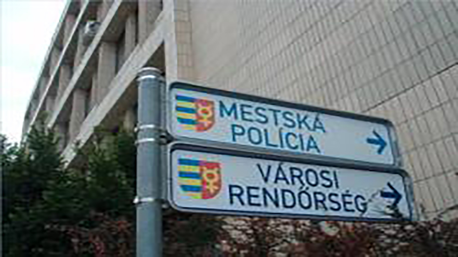 V meste sa zvýši počet mestských policajtov a opatrovateľov
