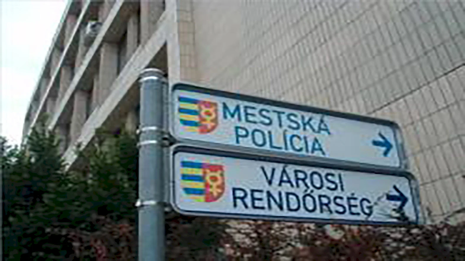 V meste sa zvýši počet mestských policajtov a opatrovateľov