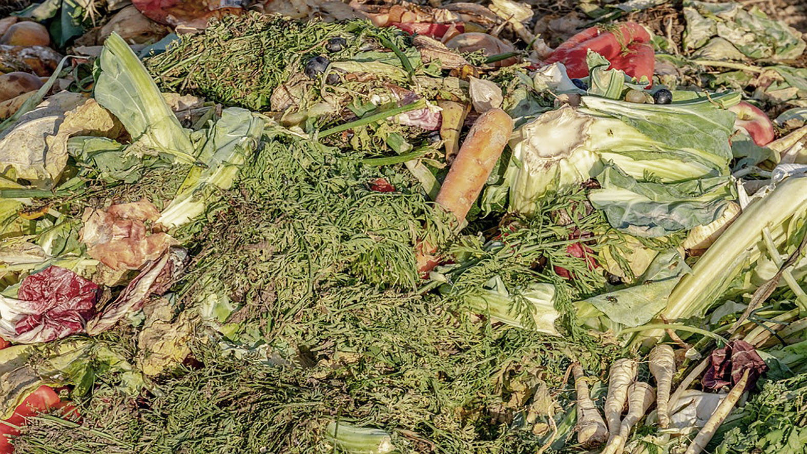 Triedenie bioodpadu je podstatné pre zvyšovanie percenta recyklácie na Slovensku
