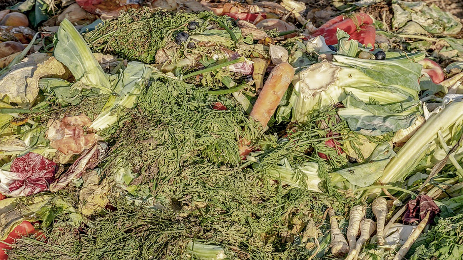 Triedenie bioodpadu je podstatné pre zvyšovanie percenta recyklácie na Slovensku