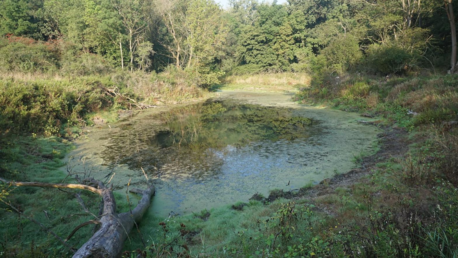 Župa predstavila boj proti komárom