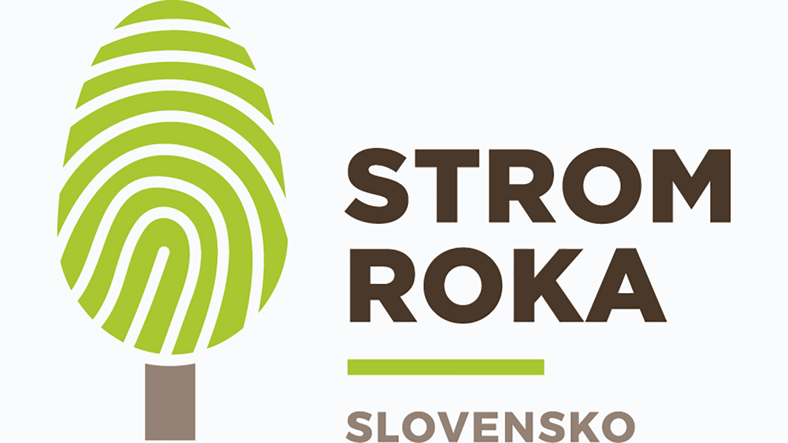 Strom roka 2019