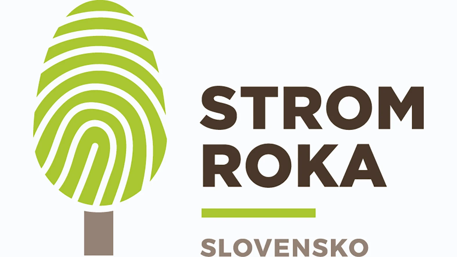 Strom roka 2019