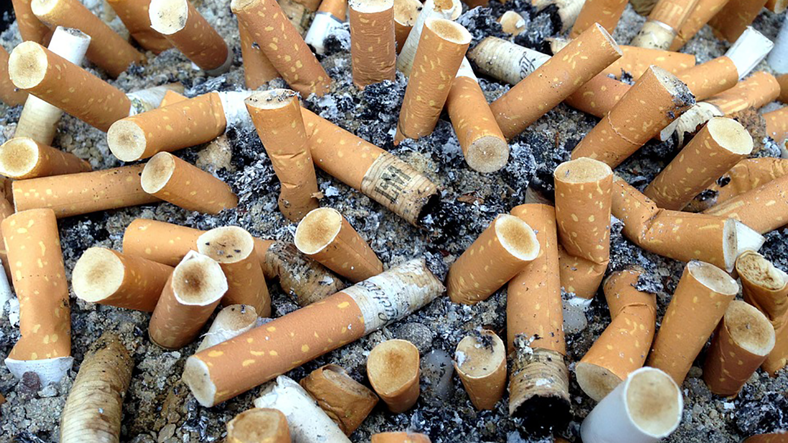 Zákaz jednorazových plastov – prvý krok k čistejším oceánom