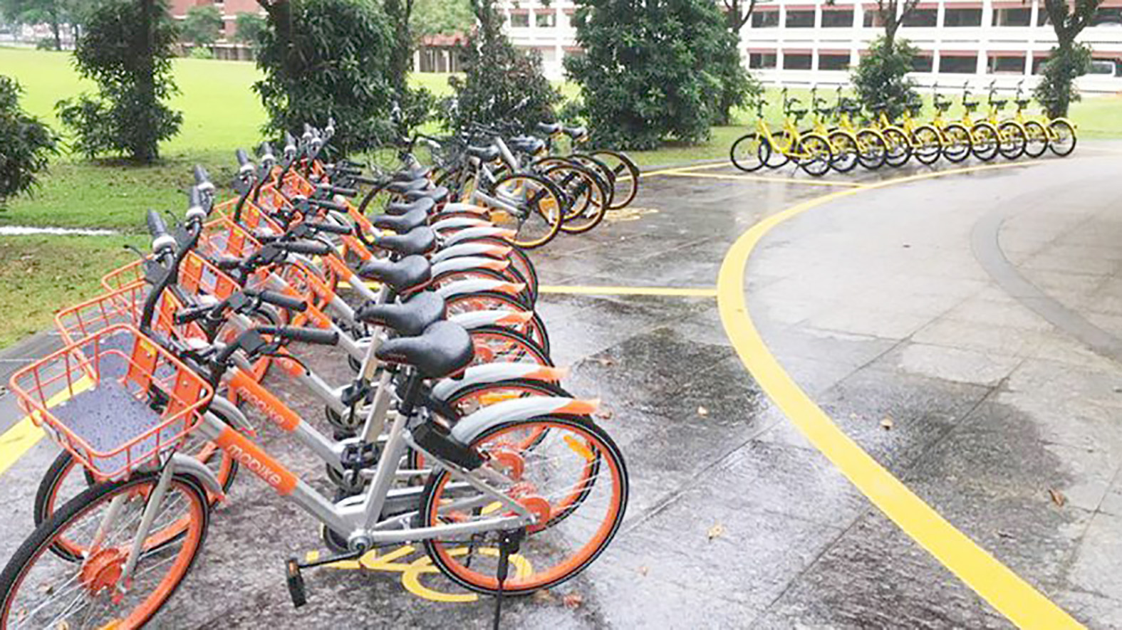 Košický bikesharing má k dispozícii tisíc bicyklov