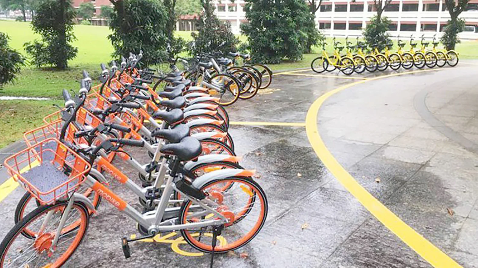 Košický bikesharing má k dispozícii tisíc bicyklov