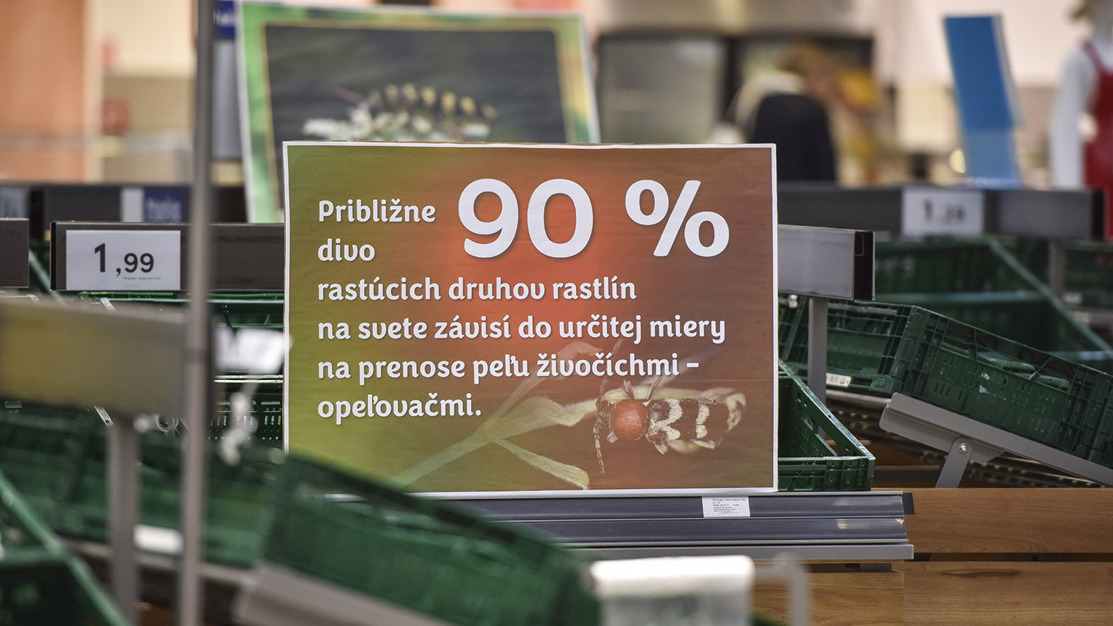 MŽP SR: Bez opeľovačov by na pultoch obchodov chýbali mnohé potraviny a textil